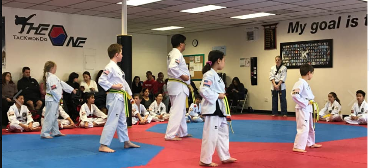 The One TaeKwonDo reviews