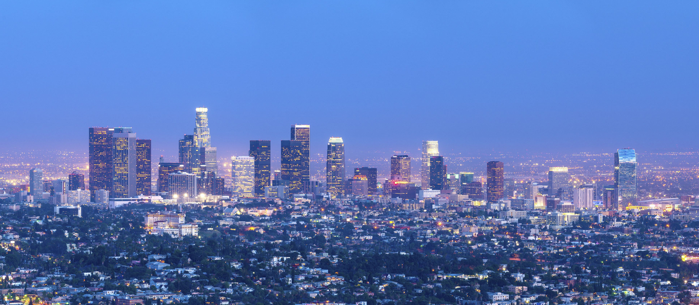 Top 5 MMA GYMS in Los Angeles CA